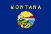 Montana Wanted Emblems